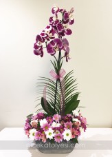Benekli Orkide ve Kır Çiçekleri
